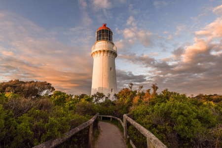 Beaming Through the Fog: Cape Schanck’s Coastal Legacy