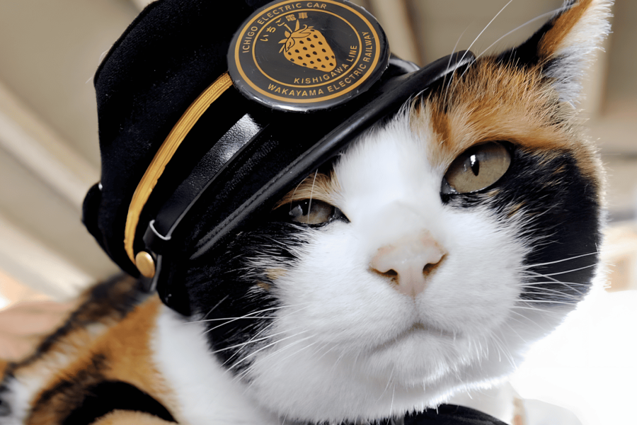Tama