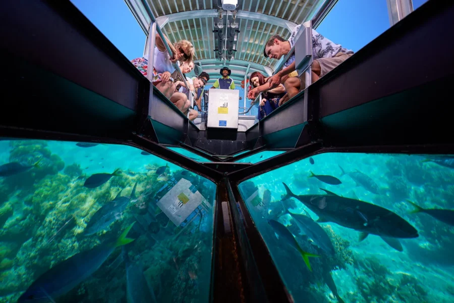 Glass Bottom Boat Tour