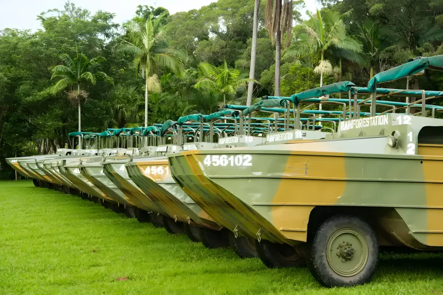 Kuranda Rainforest Army Duck