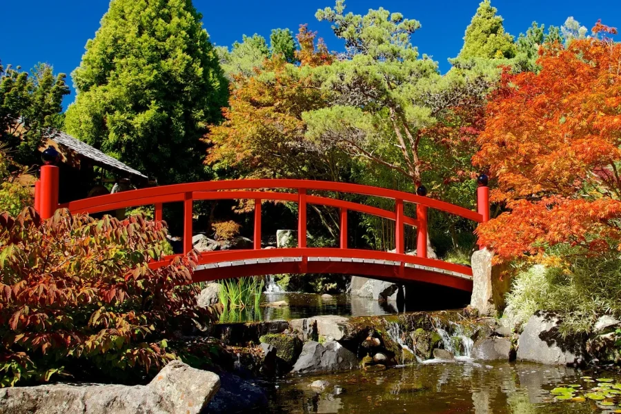 Royal Tasmanian Botanical Gardens