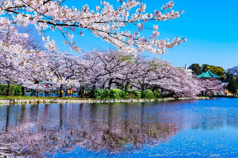 Ueno Park